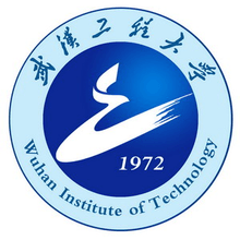 Wuhan Institute of Technology